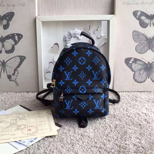 루이비통 팜 스프링스 백팩 미니 M41562-1