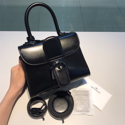 델보 브리앙백 MINI  AA208170 블랙 메탈