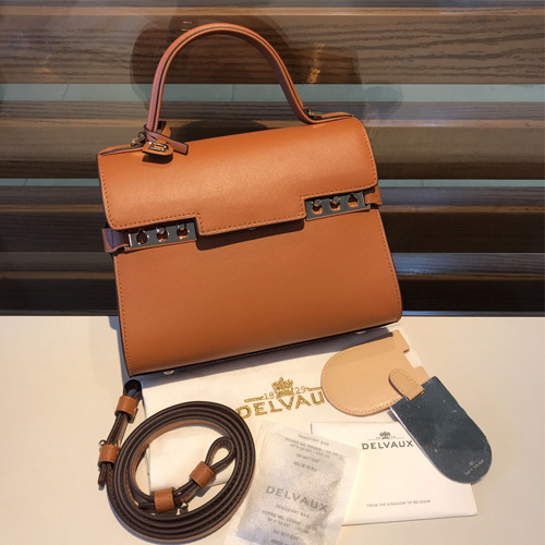 델보 톰페트백 PM AA218517 브라운 금장