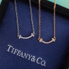 티파니앤코 신상 목걸이 TF2769 미니