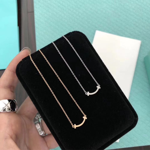 티파니앤코 신상 목걸이 TF2756 미니